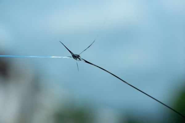 Glass Repair